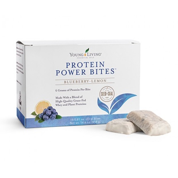 Protein Power Bites